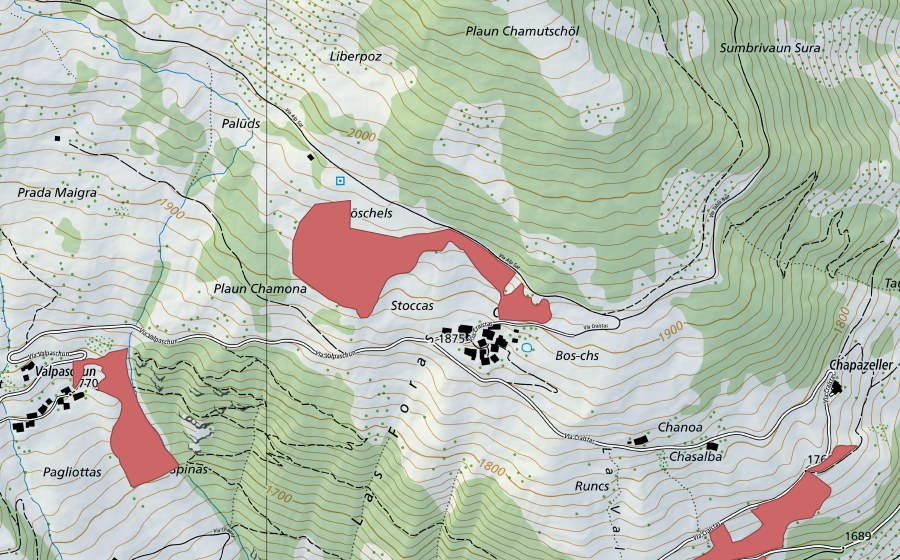 Landeskarte swisstopo mit dem Schutzperimeter von Craistas (Trockenwiese)