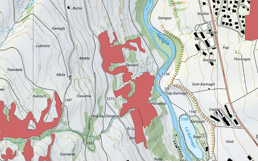 Carte nationale swisstopo avec le périmètre protégé de Crap Barnagn (Prairie sèche)