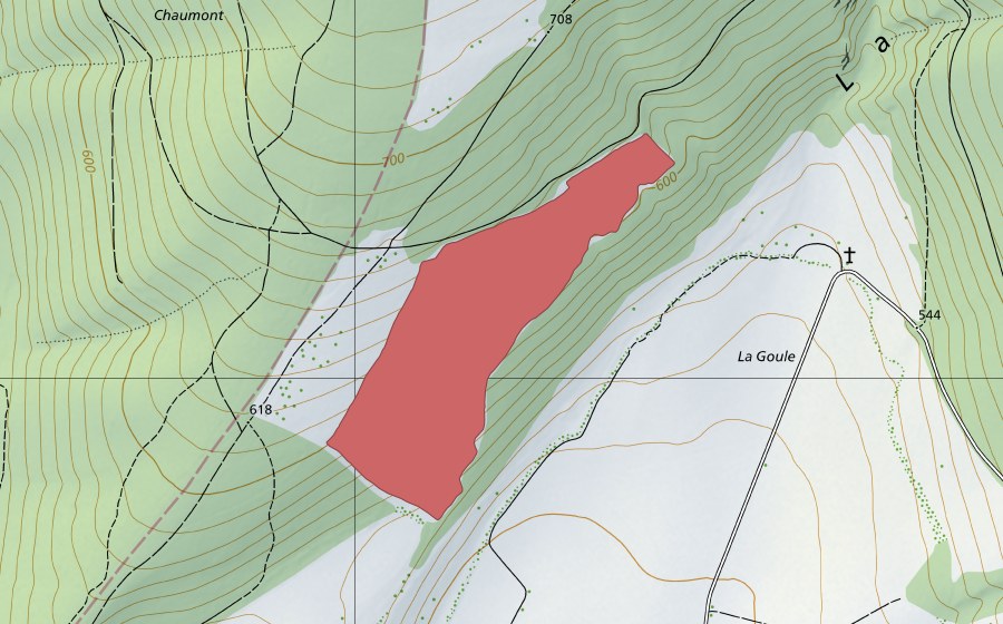swisstopo national map showing the protected perimeter of Cras de la Combe (Dry meadow)