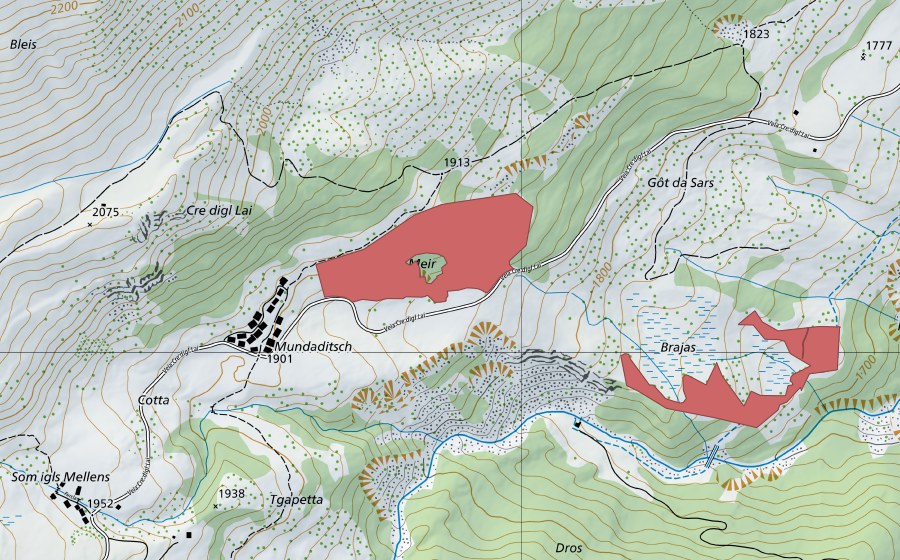 swisstopo national map showing the protected perimeter of Cre digl Lai (Dry meadow)