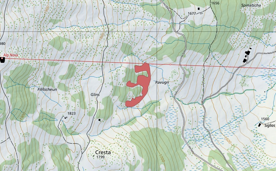 swisstopo national map showing the protected perimeter of Cresta (Dry meadow)