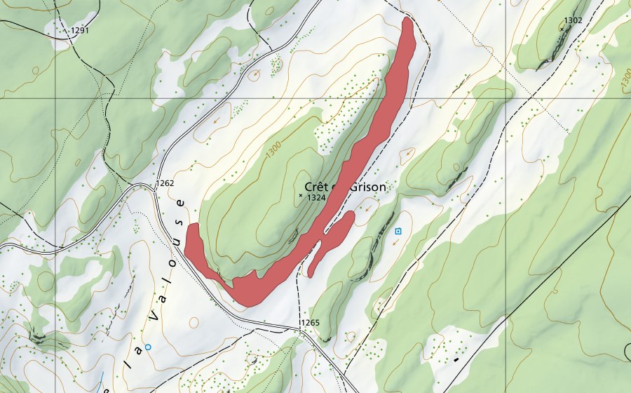 Carte nationale swisstopo avec le périmètre protégé de Crêt de Grison (Prairie sèche)