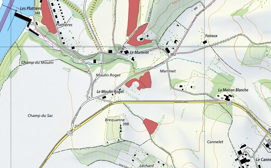 Carte nationale swisstopo avec le périmètre protégé de Crêt de Mandole (Prairie sèche)