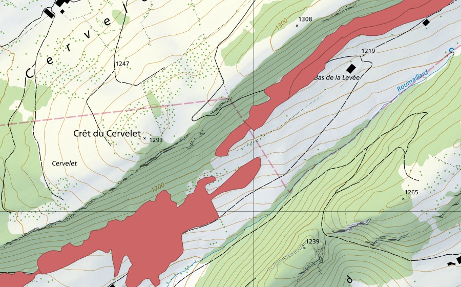 swisstopo national map showing the protected perimeter of Crêt du Cervelet (Dry meadow)