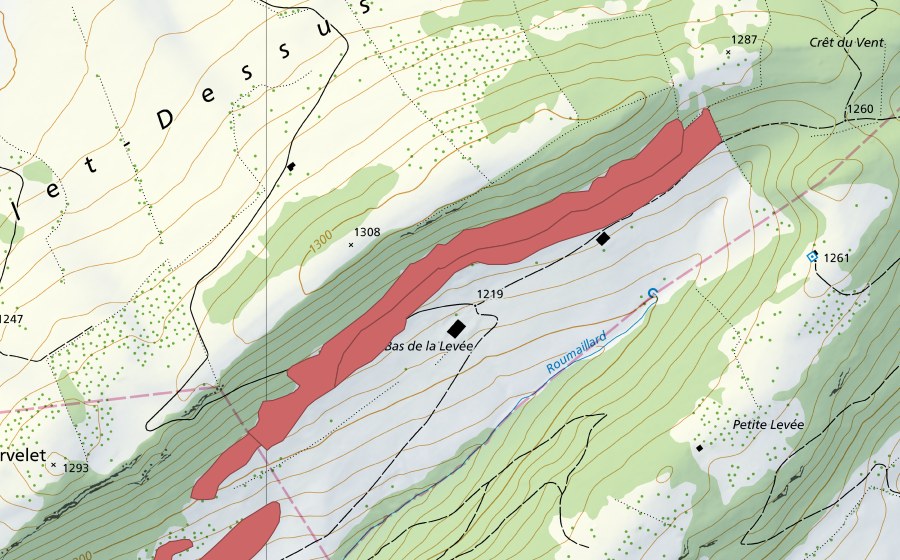 swisstopo national map showing the protected perimeter of Crêt du Cervelet (Dry meadow)