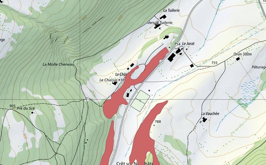 Landeskarte swisstopo mit dem Schutzperimeter von Crêt sor Neuchâtel (Trockenwiese)