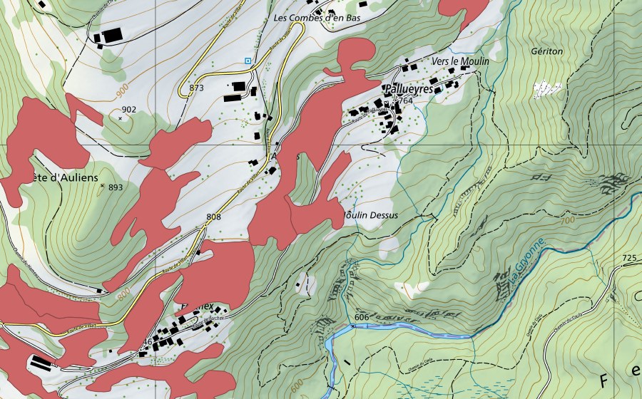 Landeskarte swisstopo mit dem Schutzperimeter von Crête d'Auliens (Trockenwiese)