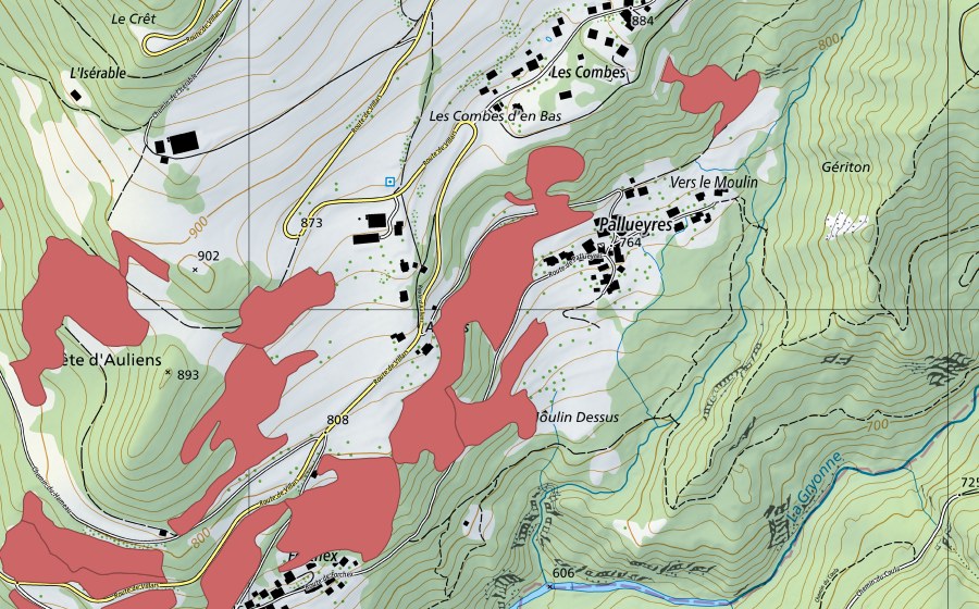 swisstopo national map showing the protected perimeter of Crête d'Auliens (Dry meadow)