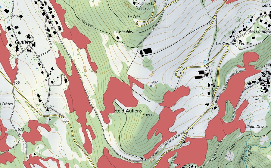 Landeskarte swisstopo mit dem Schutzperimeter von Crête d'Auliens (Trockenwiese)