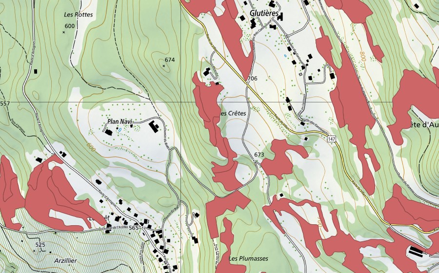 Landeskarte swisstopo mit dem Schutzperimeter von Crête d'Auliens (Trockenwiese)