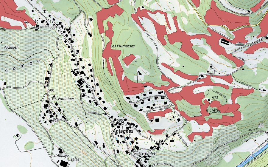 Landeskarte swisstopo mit dem Schutzperimeter von Crête d'Auliens (Trockenwiese)