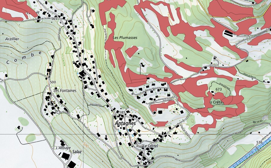 Landeskarte swisstopo mit dem Schutzperimeter von Crête d'Auliens (Trockenwiese)