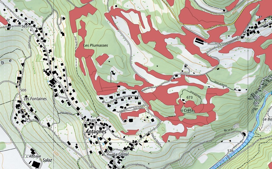 Landeskarte swisstopo mit dem Schutzperimeter von Crête d'Auliens (Trockenwiese)