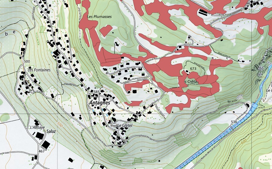 swisstopo national map showing the protected perimeter of Crête d'Auliens (Dry meadow)