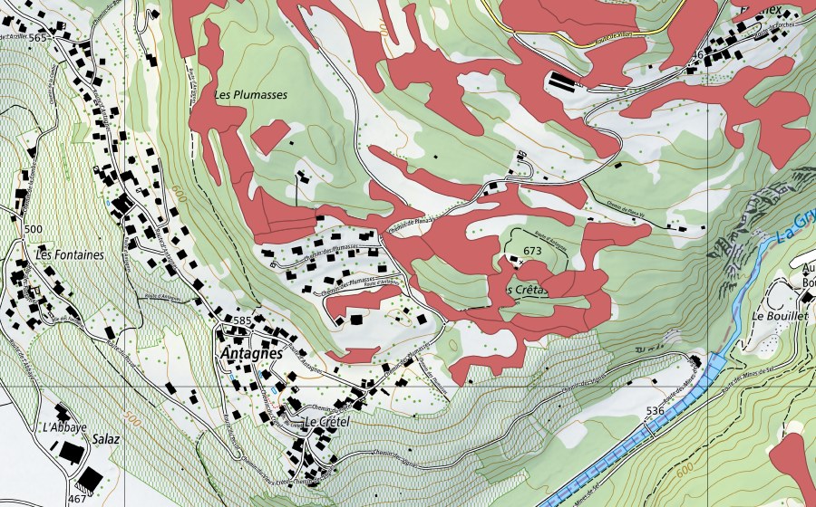 swisstopo national map showing the protected perimeter of Crête d'Auliens (Dry meadow)