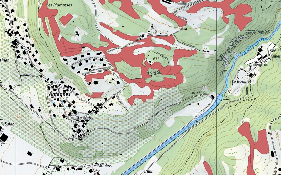 Carte nationale swisstopo avec le périmètre protégé de Crête d'Auliens (Prairie sèche)