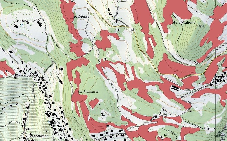 swisstopo national map showing the protected perimeter of Crête d'Auliens (Dry meadow)