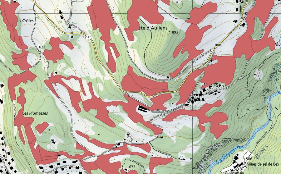Landeskarte swisstopo mit dem Schutzperimeter von Crête d'Auliens (Trockenwiese)