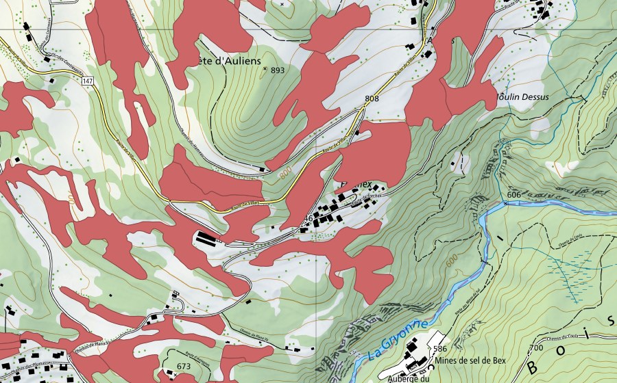 Landeskarte swisstopo mit dem Schutzperimeter von Crête d'Auliens (Trockenwiese)