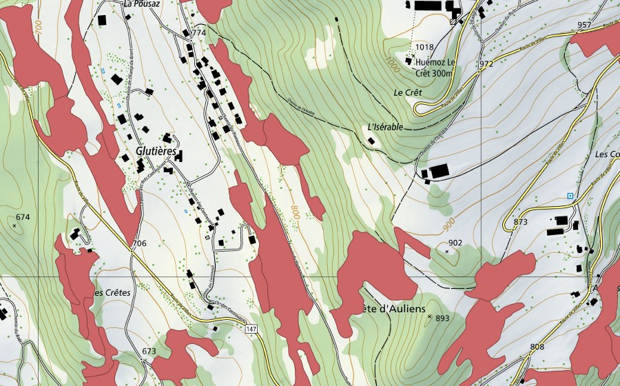 Landeskarte swisstopo mit dem Schutzperimeter von Crête d'Auliens (Trockenwiese)