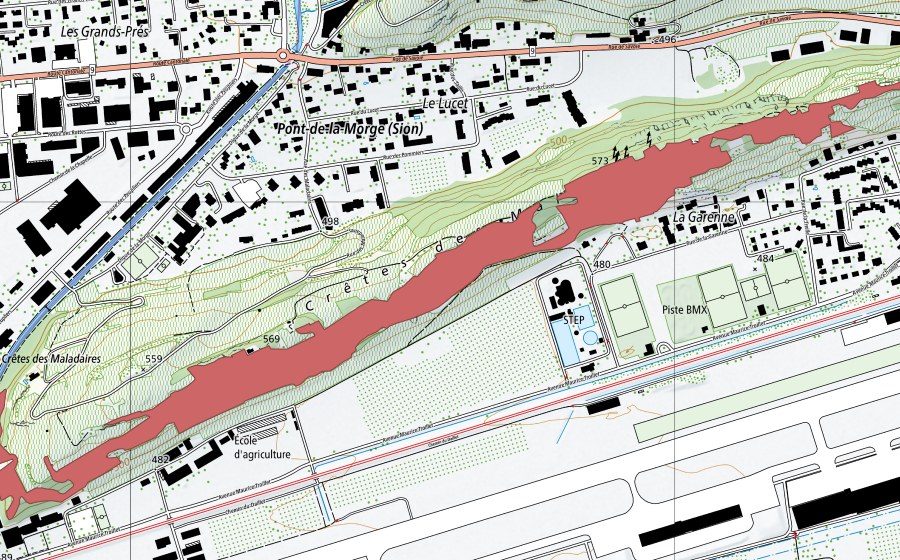 swisstopo national map showing the protected perimeter of Crête des Maladaires (Dry meadow)