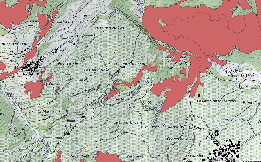 swisstopo national map showing the protected perimeter of Creux Devant (Dry meadow)