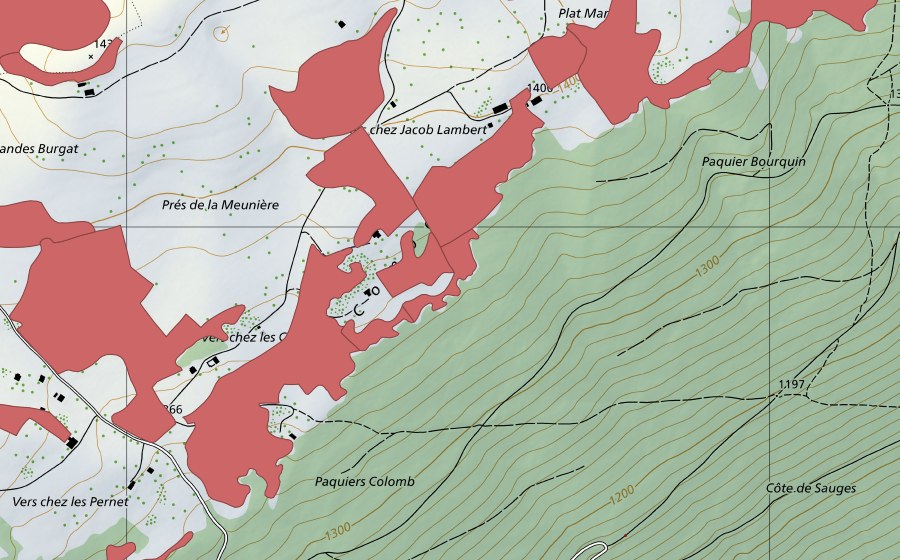 swisstopo national map showing the protected perimeter of Creux du Van (Dry meadow)