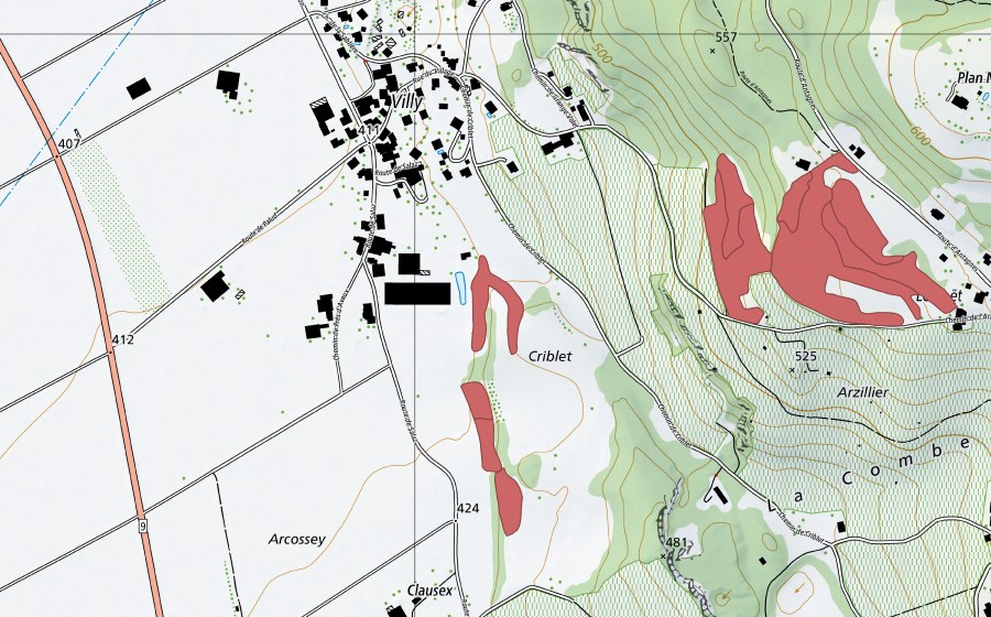 Landeskarte swisstopo mit dem Schutzperimeter von Criblet (Trockenwiese)