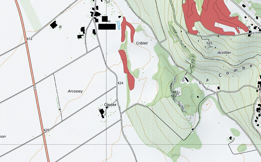 swisstopo national map showing the protected perimeter of Criblet (Dry meadow)