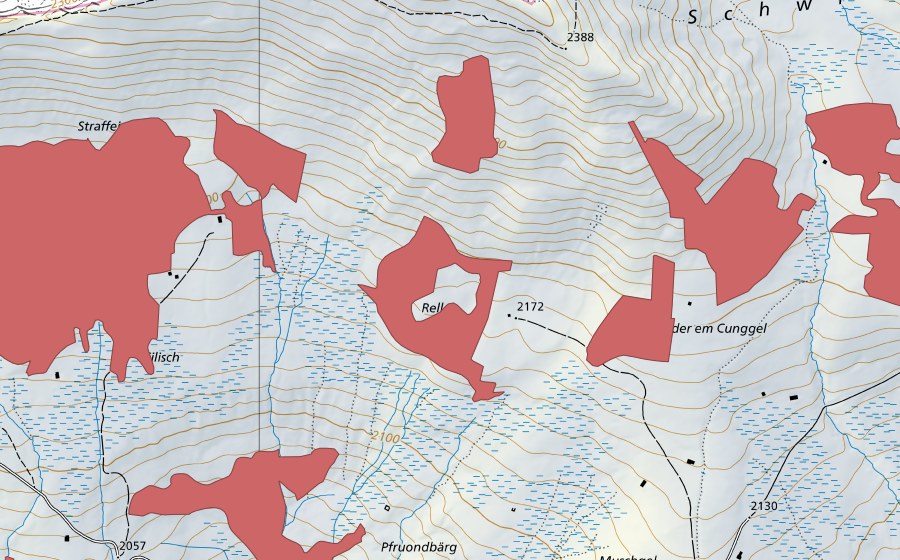 swisstopo national map showing the protected perimeter of Cunggel (Dry meadow)