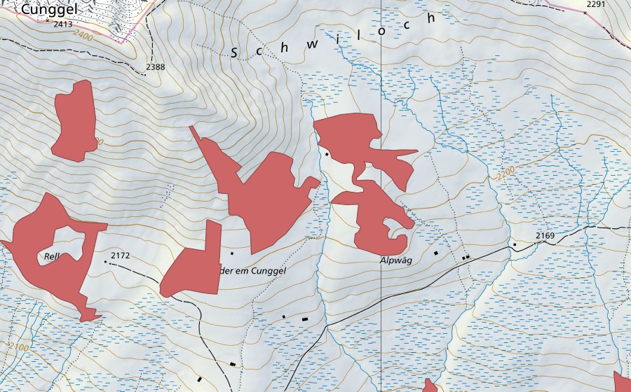 swisstopo national map showing the protected perimeter of Cunggel (Dry meadow)