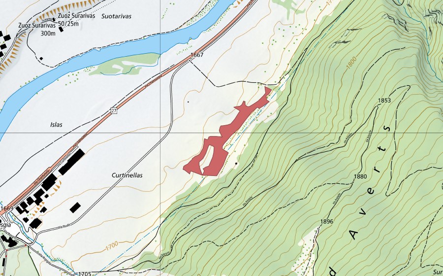 Landeskarte swisstopo mit dem Schutzperimeter von Curtinellas (Trockenwiese)