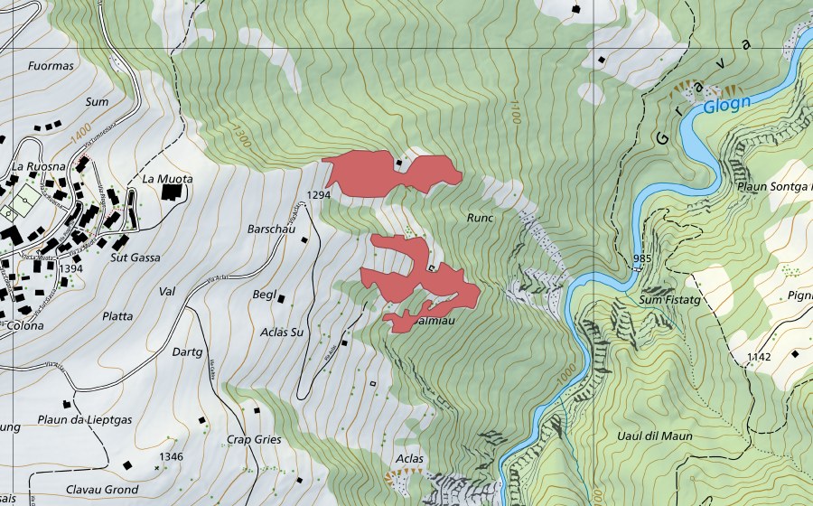 swisstopo national map showing the protected perimeter of Dalmiau (Dry meadow)