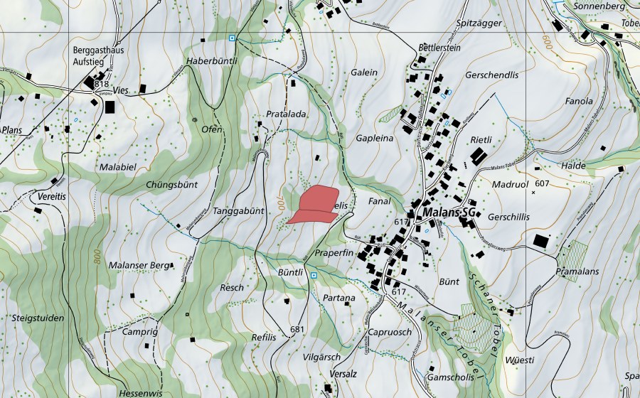 Landeskarte swisstopo mit dem Schutzperimeter von Danggabünt (Trockenwiese)