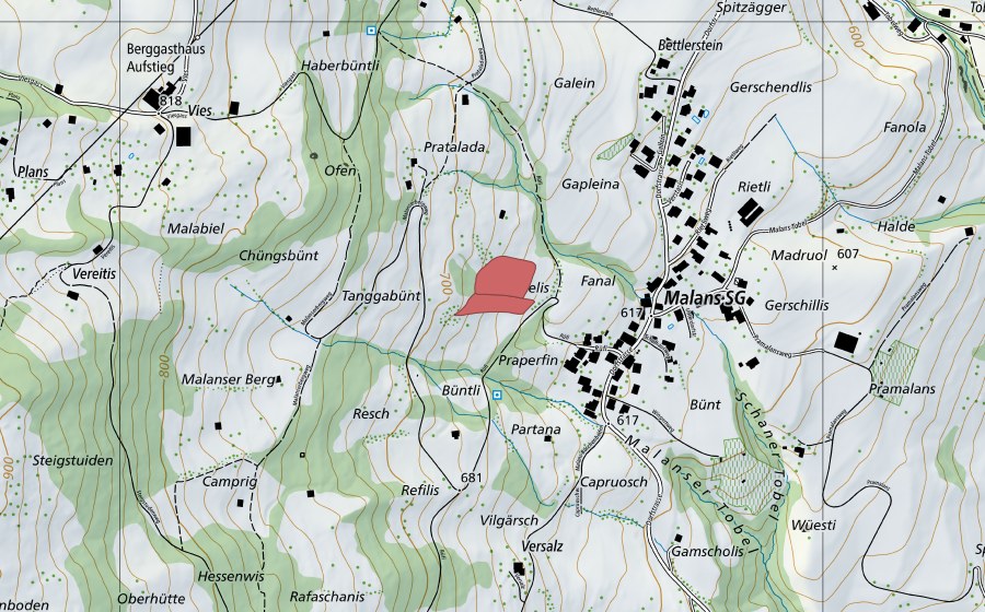 Landeskarte swisstopo mit dem Schutzperimeter von Danggabünt (Trockenwiese)