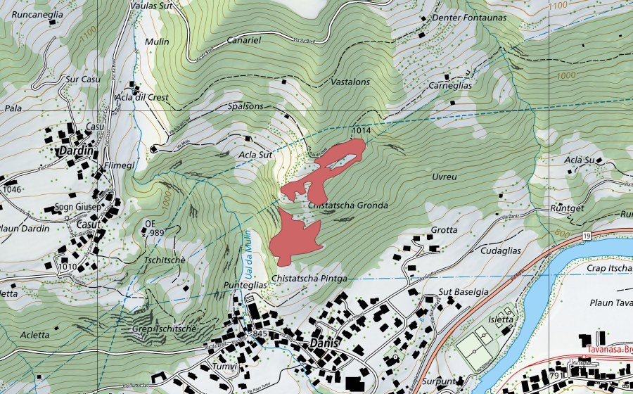 swisstopo national map showing the protected perimeter of Danis (Dry meadow)