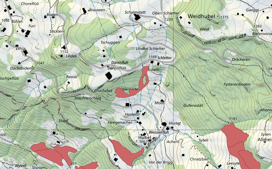swisstopo national map showing the protected perimeter of Därnisflüö (Dry meadow)