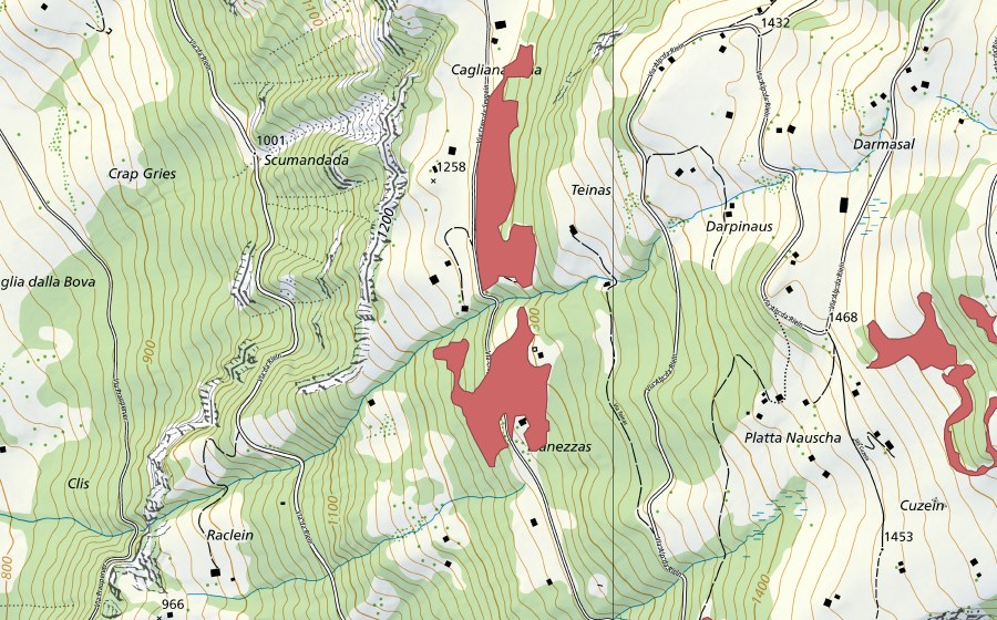 Landeskarte swisstopo mit dem Schutzperimeter von Darpinaus (Trockenwiese)