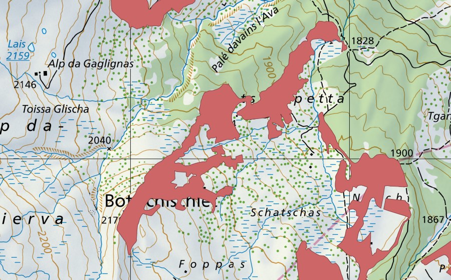 Landeskarte swisstopo mit dem Schutzperimeter von Dartschapetta (Trockenwiese)