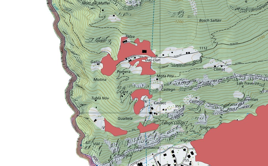Landeskarte swisstopo mit dem Schutzperimeter von Dascciun (Trockenwiese)