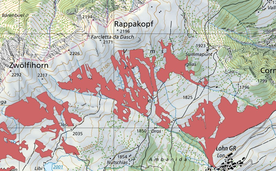 Landeskarte swisstopo mit dem Schutzperimeter von Dasch (Trockenwiese)