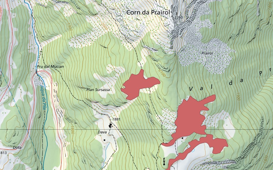 Carta nazionale swisstopo con il perimetro protetto di Dava (Prato secco)