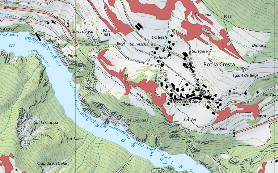 swisstopo national map showing the protected perimeter of Davos Ses (Dry meadow)