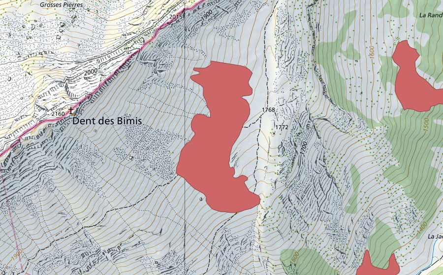 swisstopo national map showing the protected perimeter of Dent des Bimis (Dry meadow)