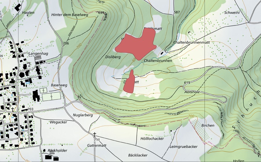 Carta nazionale swisstopo con il perimetro protetto di Disliberg (Prato secco)
