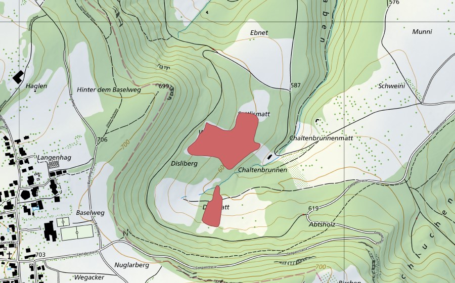 Landeskarte swisstopo mit dem Schutzperimeter von Disliberg (Trockenwiese)