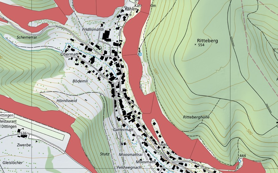 Landeskarte swisstopo mit dem Schutzperimeter von Dittinger Weide (Trockenwiese)