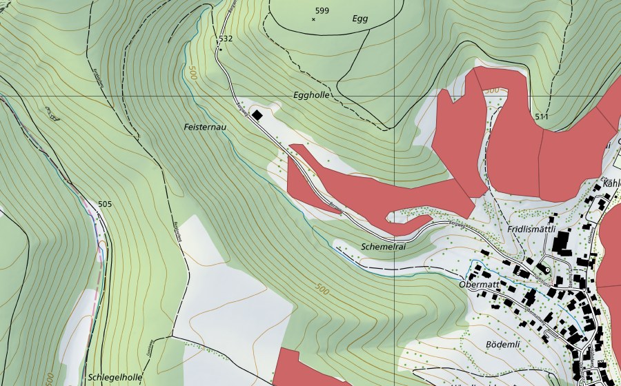 swisstopo national map showing the protected perimeter of Dittinger Weide (Dry meadow)