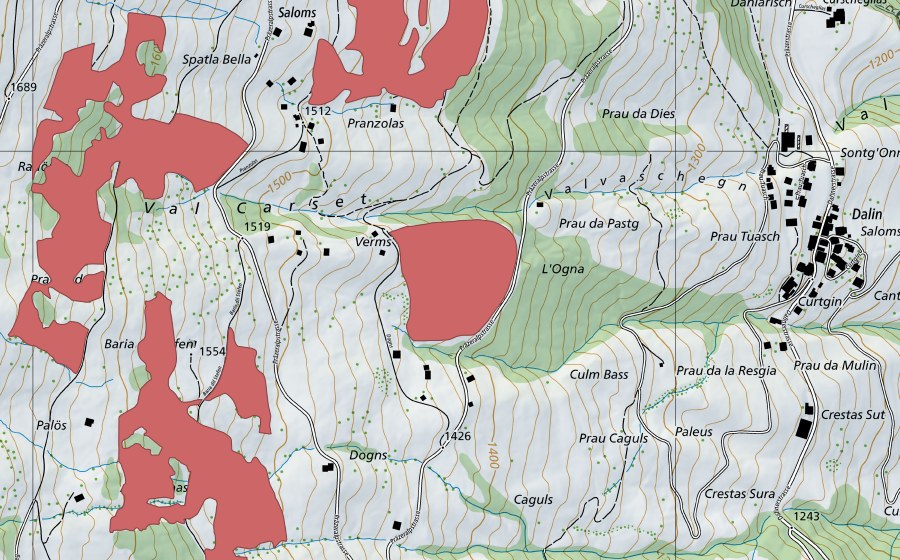 swisstopo national map showing the protected perimeter of Dogns (Dry meadow)