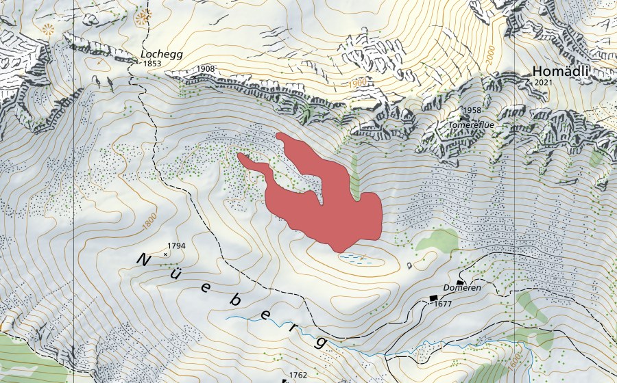swisstopo national map showing the protected perimeter of Domeren (Dry meadow)